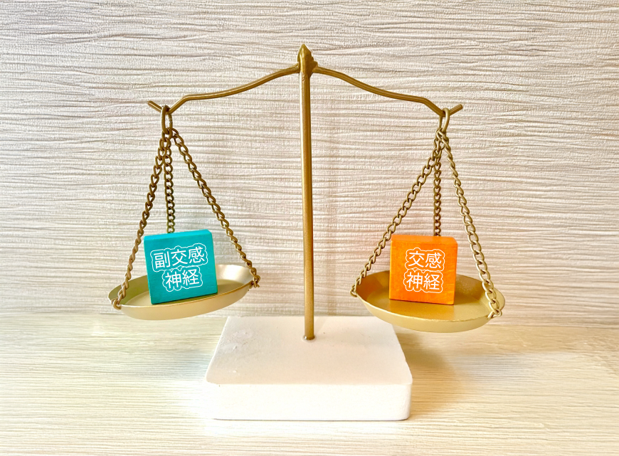 交感神経と副交感神経